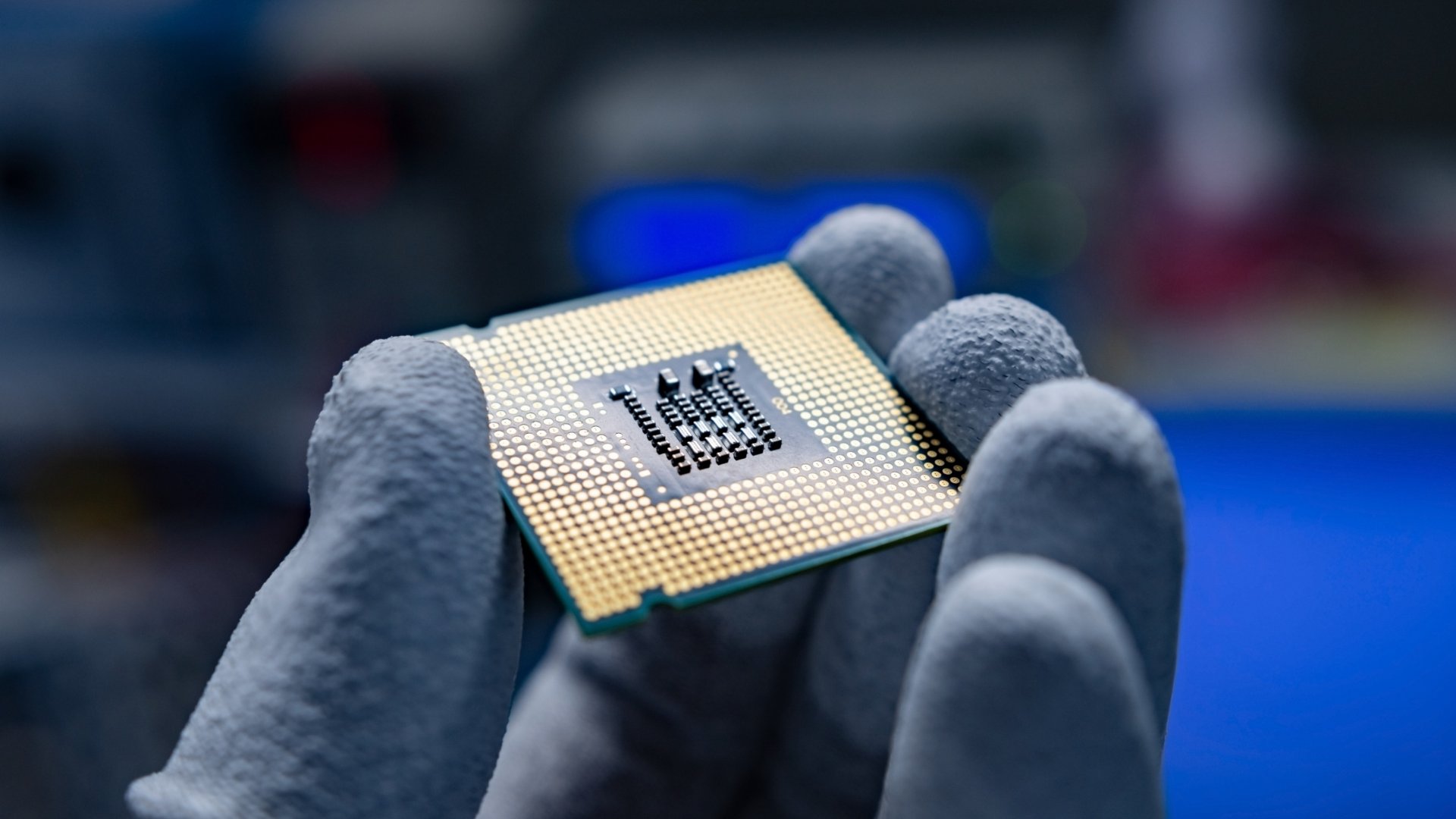 Investment market update: November 2025