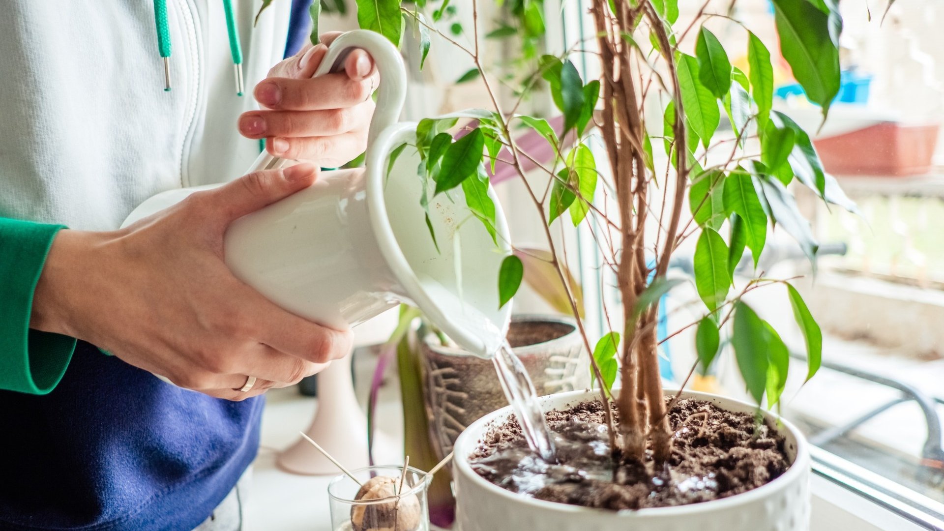 3 reasons you shouldn’t overlook your pension when considering ESG